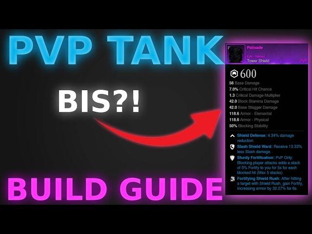 THE INVINCIBLE PVP TANK BUILD GUIDE | what I'm looking for for tank BIS