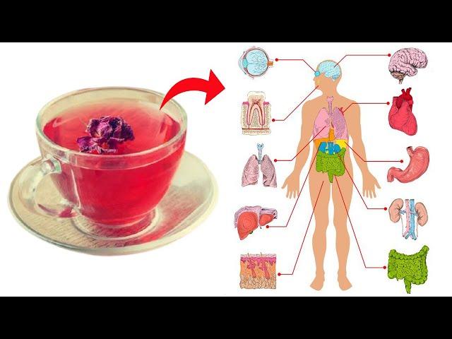 8 Benefits of Drinking Rose Tea Daily and See What Happens to Your Body