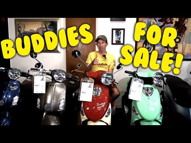 Genuine Buddy Scooter Inventory at Vespa Motorsport