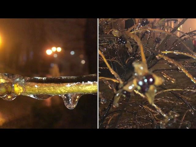 Freezing rain КРИЖАНИЙ БУРЕВІЙ у Києві