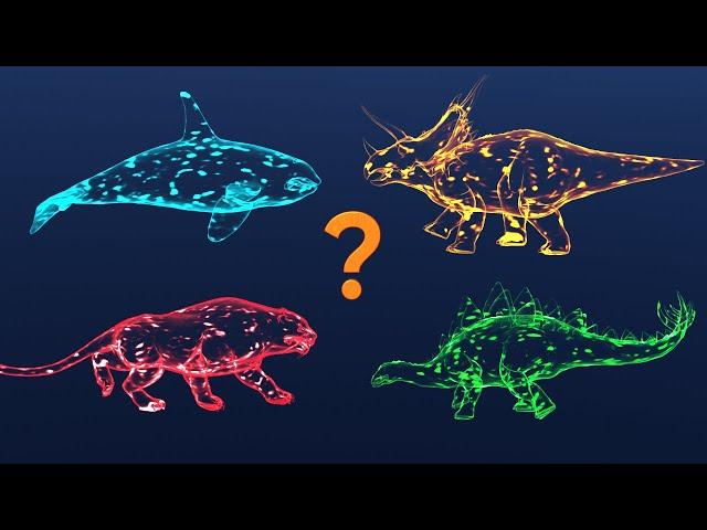  Dinosaurs |  Whales |  Wild Animals |  Sea Animals