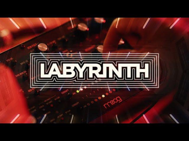 Enter the Moog Labyrinth