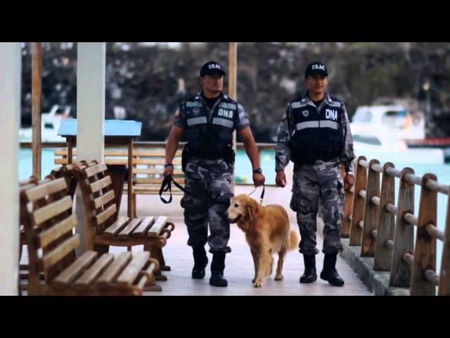 Centro Regional de Adiestramiento Canino 2013, Imagen 7 Producciones