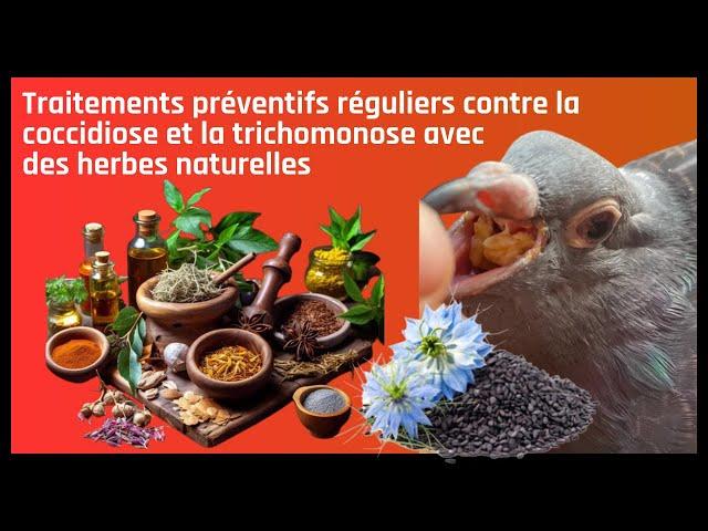 Preventive treatments against coccidiosis and trichomoniasis with natural herbs