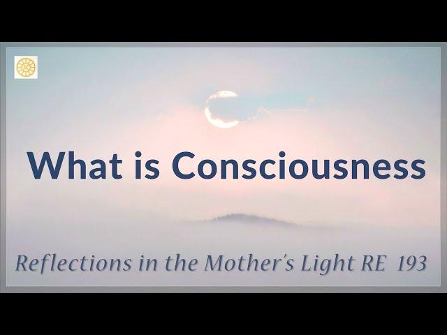 What is Consciousness  |  RE 193  |  Reflections by Dr Alok Pandey