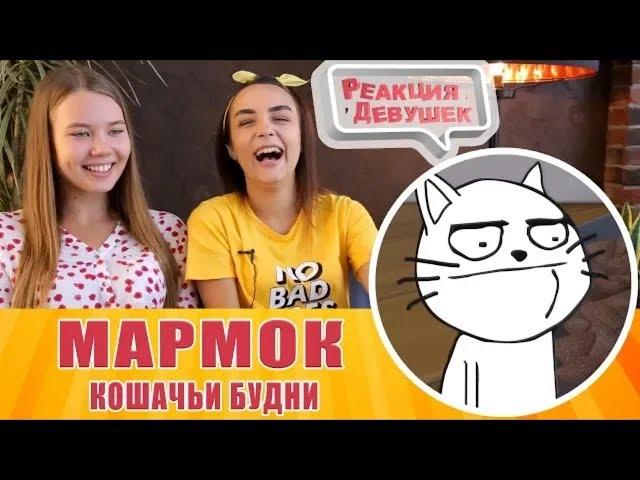 Реакция девушек   Мармок   Кошачьи будни  Мармок реакция