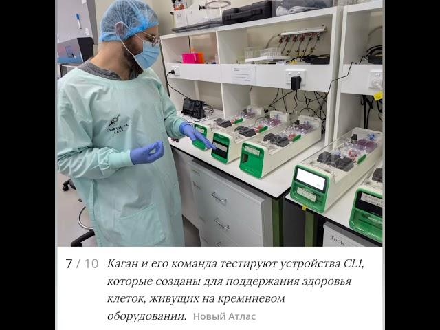 ️Первый в мире «биологический компьютер», имеющий клетки человеческого мозга️