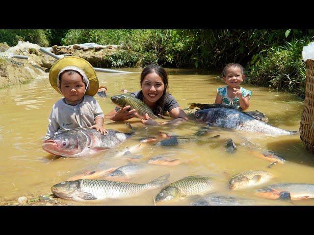 Encounter a huge school of fish - catch fish and trap fish to sell - buy clothes - milk for children