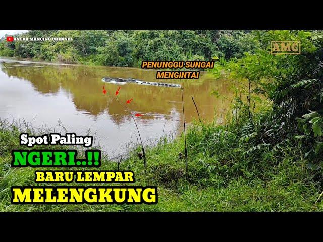 Mancing Baung Joran Melengkung Dispot Berpenghuni Buaya