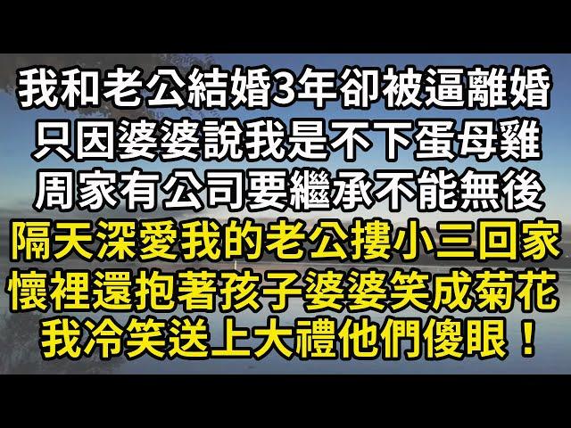 我和老公結婚3年卻被逼離婚，只因婆婆說我是不下蛋母雞，周家有公司要繼承不能無後，隔天深愛我的老公摟小三回家，懷裡還抱著孩子婆婆笑成菊花，我冷笑送上大禮他們傻眼！#翠花的秘密