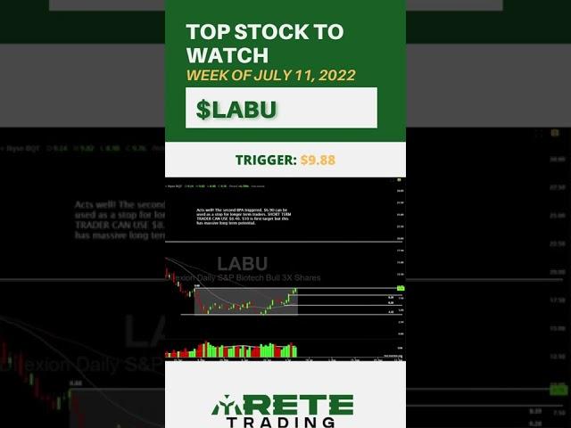 This is the LEADING ETF to BUY [$LABU]