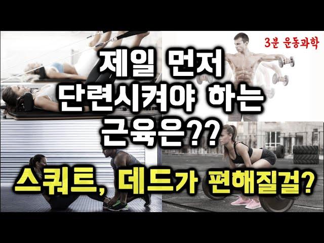 운동할 때 가장 먼저 단련시켜야 하는 근육은? 스쿼트, 데드리프트가 편해질걸??