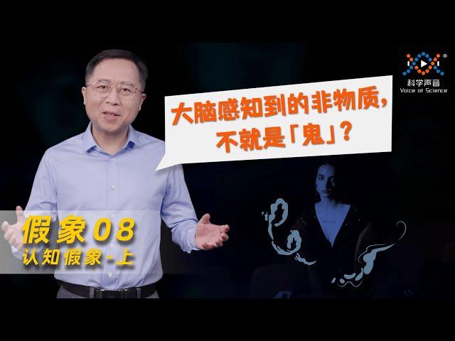 认知假象（上）：你看到了什么，取决于大脑的信念 | 假象08