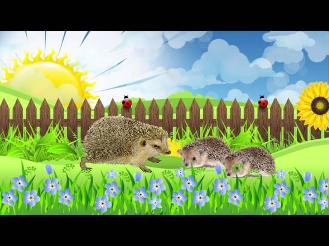 Животные и их детеныши. Развивающий музыкальный мультфильм для малышей / Animals and kids. Наше_всё!