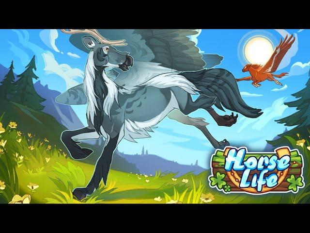 Peryton Breeding Update in Horse Life!