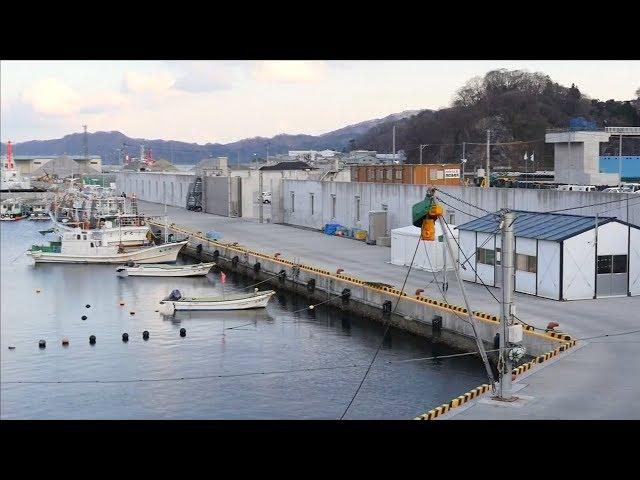 Seven years after tsunami, Japanese live alongside high sea walls