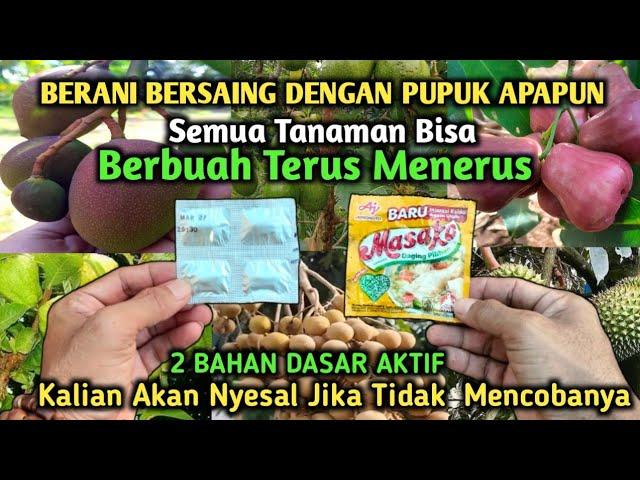 Saya Merinding Lihat Hasilnya Sekali Siram Tanaman Berbuah Lebat Terus Sepanjang Tahun‼️