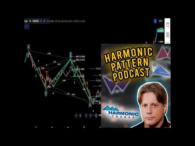 Harmonic Pattern Podcast #329 with Scott Carney -  1618, Mitch Ray and Harmonic Patterns