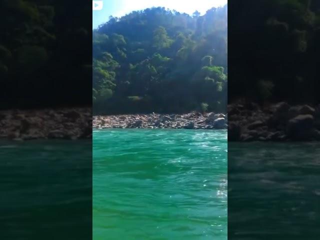 tag your love️????? #shorts #nature