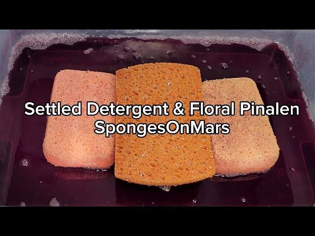 Sponge ASMR: Part 2 Detergent & Floral Pinalen. ⭐Bonus Video Included ⭐