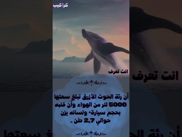 كراكيب انت تعرف !! الحوت الازرق