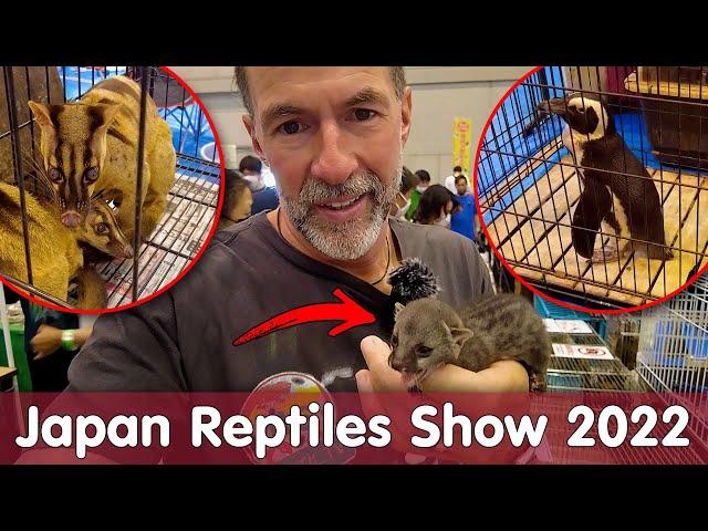 Japan Reptiles Show 2022 | Säugetiere