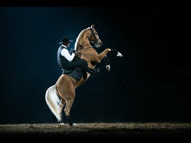 2015 Epic Night of the Horse: Cowboy Matt McLaughlin