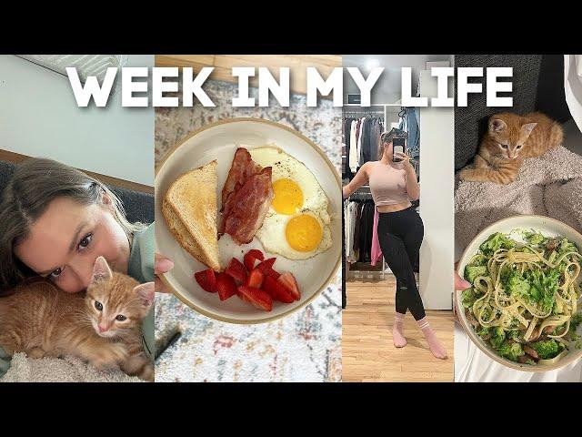 WEEK IN MY LIFE VLOG: starting our wedding invitations, what I eat in a week, kitten updates & MORE