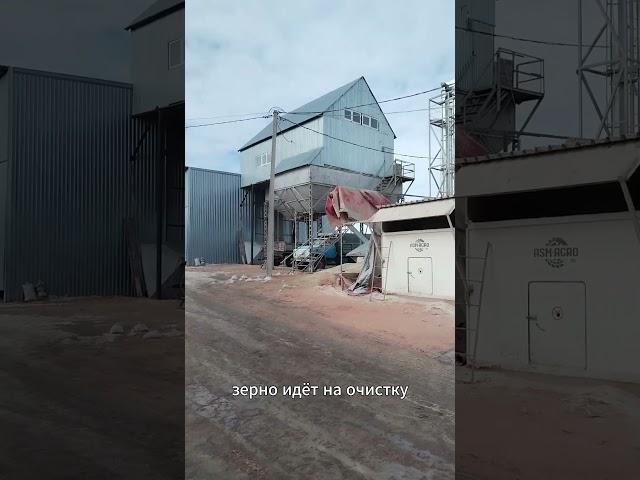 Зерносушилка ASM-AGRO в Тамбовской области