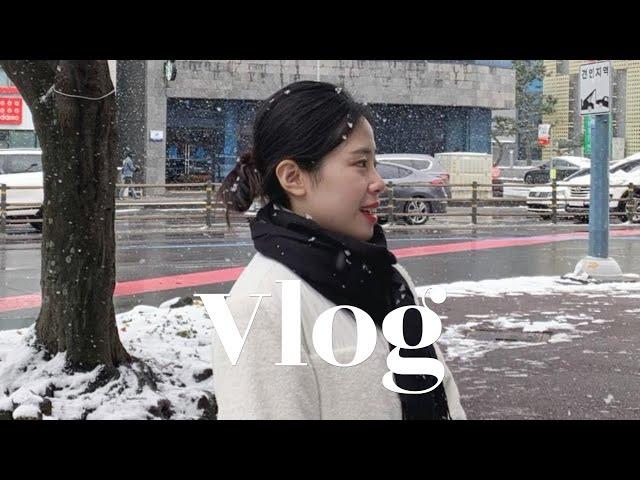 Vlog_승무원 브이로그 | 휴가 | 싱가포르에서 제주 | 카메라구입