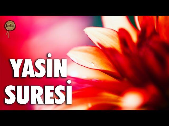 Yasin Suresi | Ya Sin | Ali Turan | fussilet Kuran Merkezi