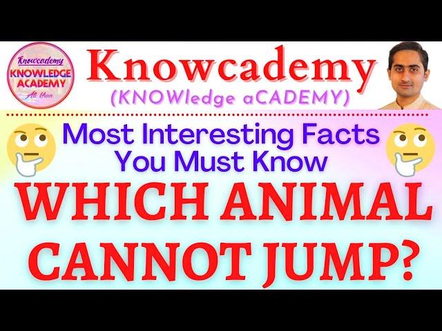 Did you know facts? | Most Interesting facts you must know