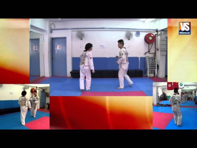 Taekwondo Kick # 16