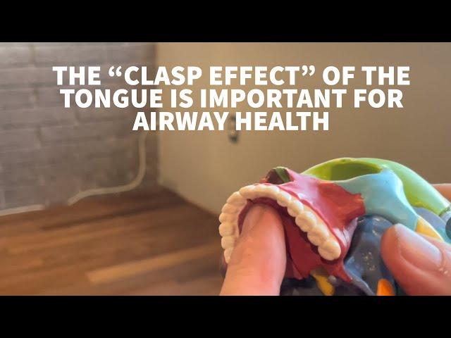 HOW THE "CLASP" EFFECT OF OUR TONGUE AFFECTS HOW WE BREATH