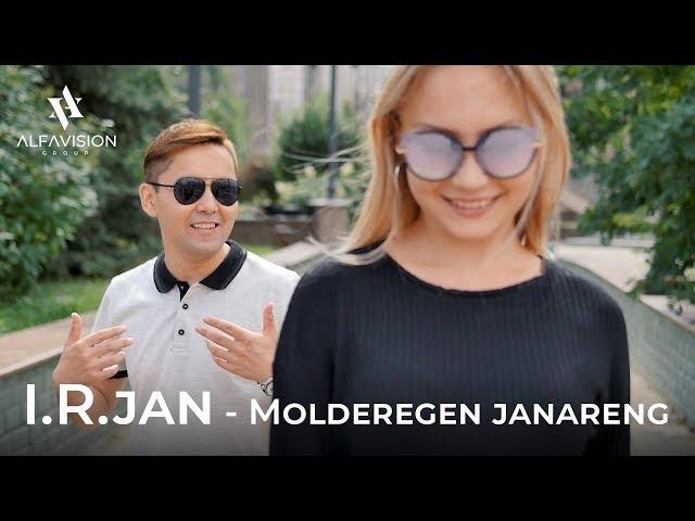 I.R.jan - Molderegen janareng / ALFAVISION GROUP / 2019