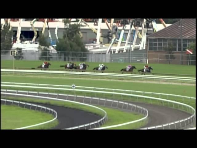 2007 - Ranvet Stakes - Desert War