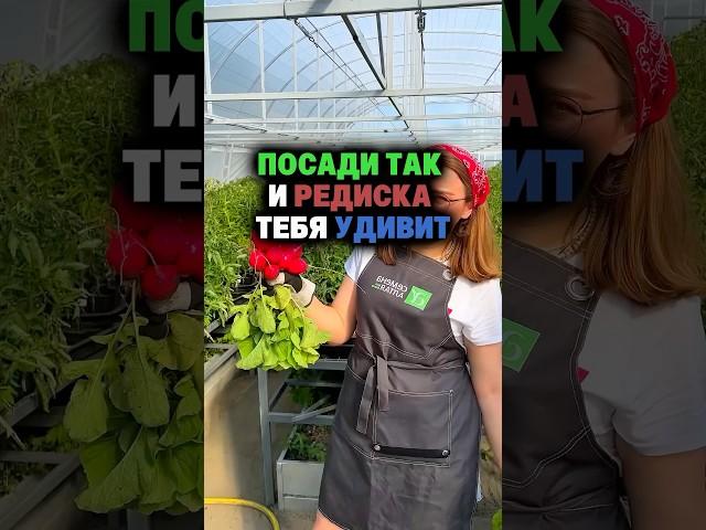 Посади так и редиска тебя удивит #секреты #дача #огород #сад #редиска