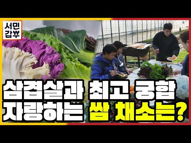 [선공개] 마트에 가도 없다! 제각각 다양한 맛을 내는 30여 가지 쌈 채소 | 서민갑부 415 회