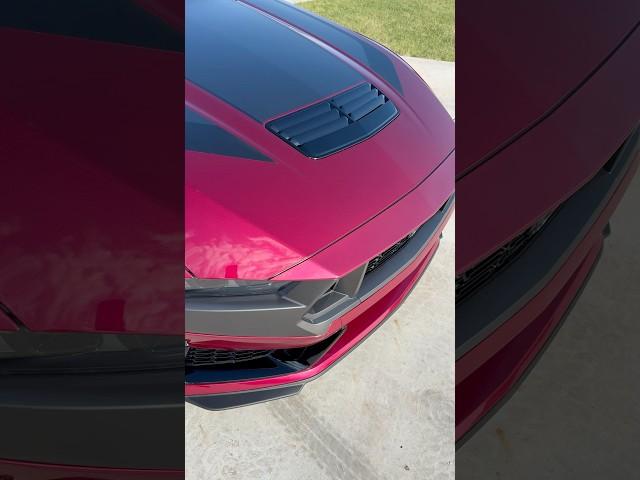 Molten  Metallic Magenta Darkhorse