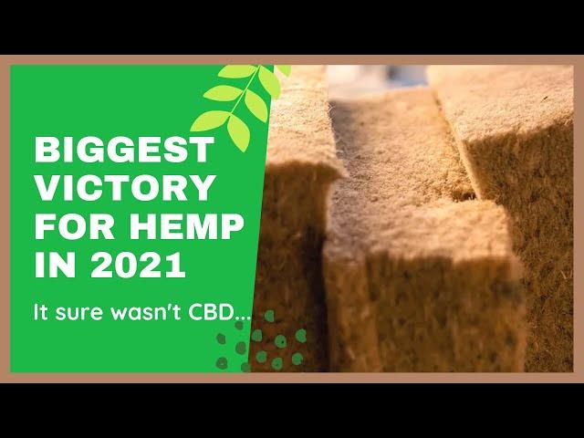 Best of Hemp in 2021?