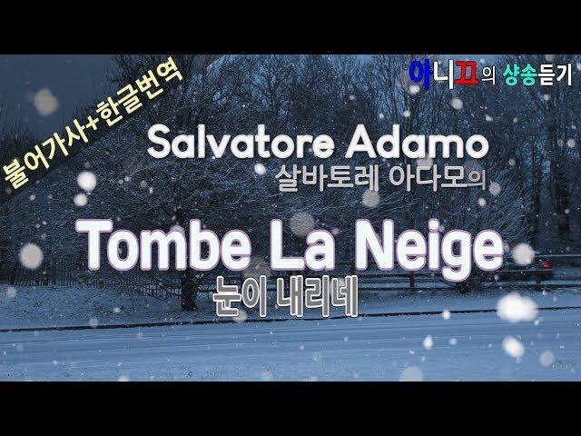 [샹송듣기] Salvatore Adamo - Tombe La Neige (눈이 내리네) [한글가사/번역/해석]