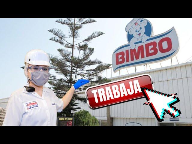 TRABAJA EN BIMBO 2024/ EMPLEO SIN EXPERIENCIA/ BUSCO TRABAJO