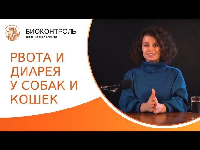  Рвота и диарея у собак и кошек: причины, лечение и профилактика. Рвота и диарея у собак и кошек.