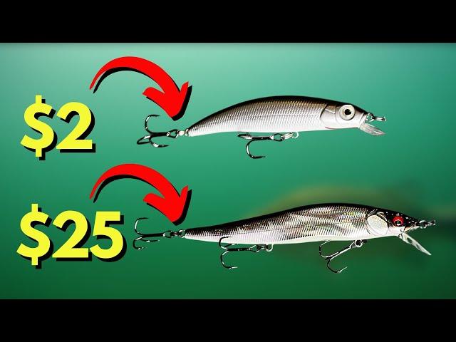 SEE and HEAR The Differences: Budget vs Expensive Lure (Underwater Look)