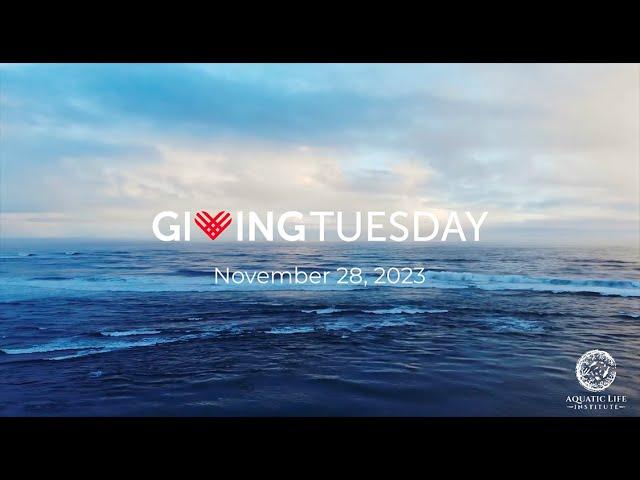 Giving Tuesday - Aquatic Life Institute