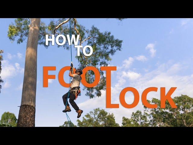 How to Foot Lock climb a tree