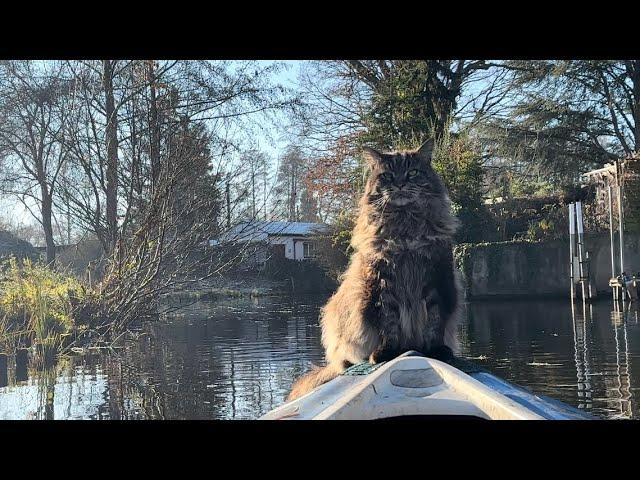 Kayaking with Louis: When a Silly Duck Collided with our kayak.