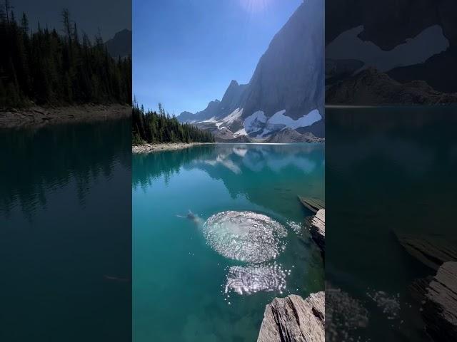 That feeling of diving into an alpine lake 🩵 #hiking #canada #kootenaynationalpark