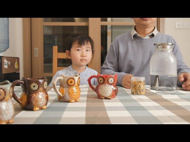 Berry President Cute Owl Mug for Children