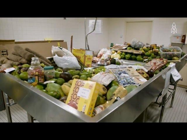 See What Really Happens To The Illegal Food Confiscated At U.S. Customs